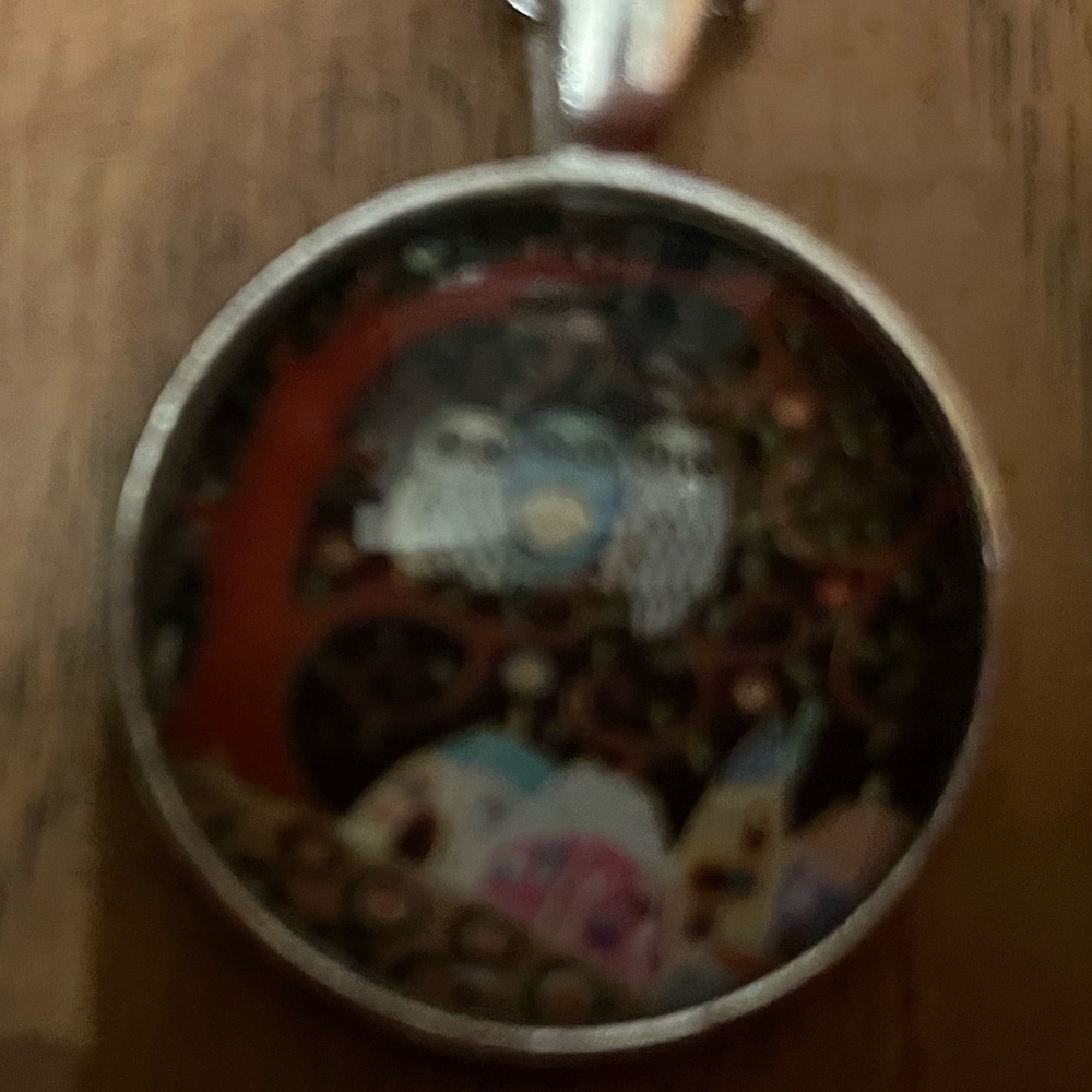 Whimsical Owl Pendant Necklace New in Package